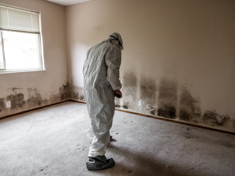 mold remediation in home man wearing hazmat suit